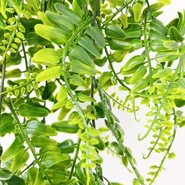 Cây Giả Treo Tường Lá Dương Xỉ – Trang Trí Tường, Ban Công Xanh Mát Tự Nhiên 6 Cây treo tường lá dương xỉ_22 (3)