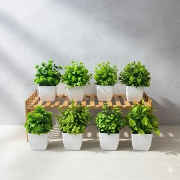 Chậu cây trang trí để bàn, decor chậu vuông_24