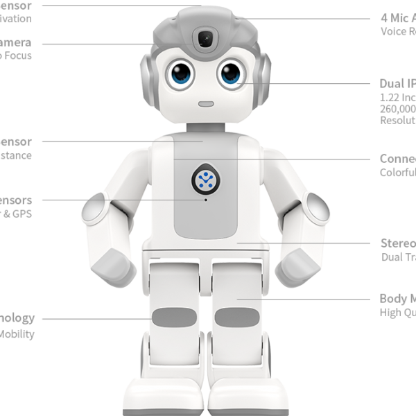 Robot Hình Người Alpha Mini-Trợ Lý AI & Giáo Dục 8 zwimg239